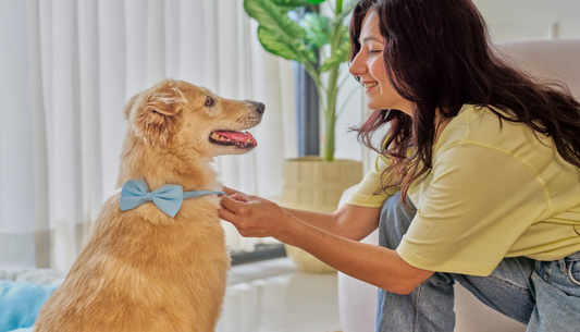 Is a digital pet portrait, a clay sculpture, or a leather relief better for your home decor?