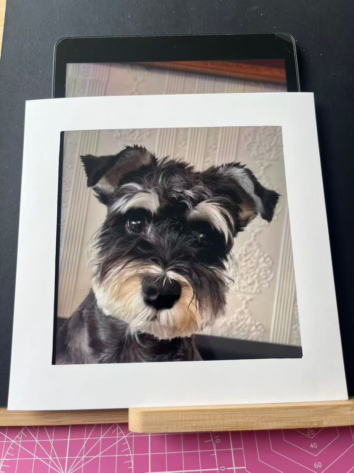 Framed scratchboard pet portrait of a black-and-white dog with soft fur