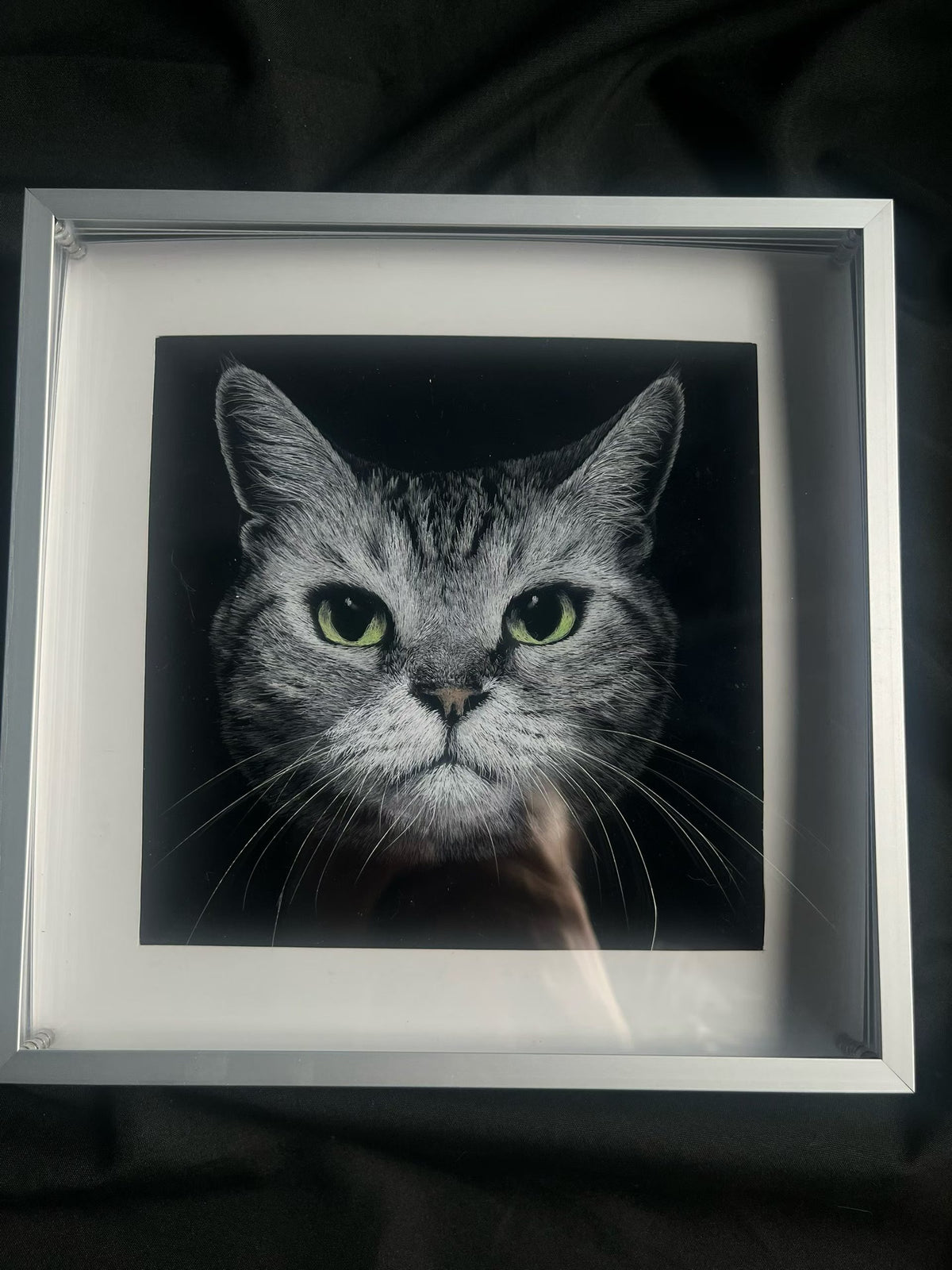 Framed scratchboard pet portrait of a gray cat with green eyes