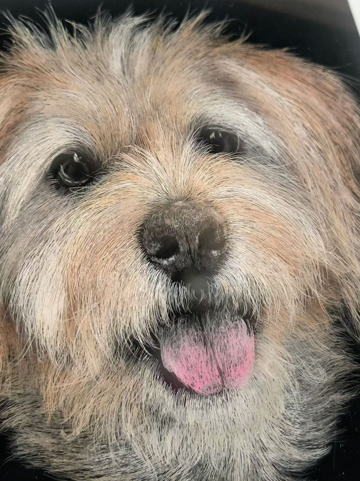 Close-up scratchboard pet portrait of a tan dog with pink tongue