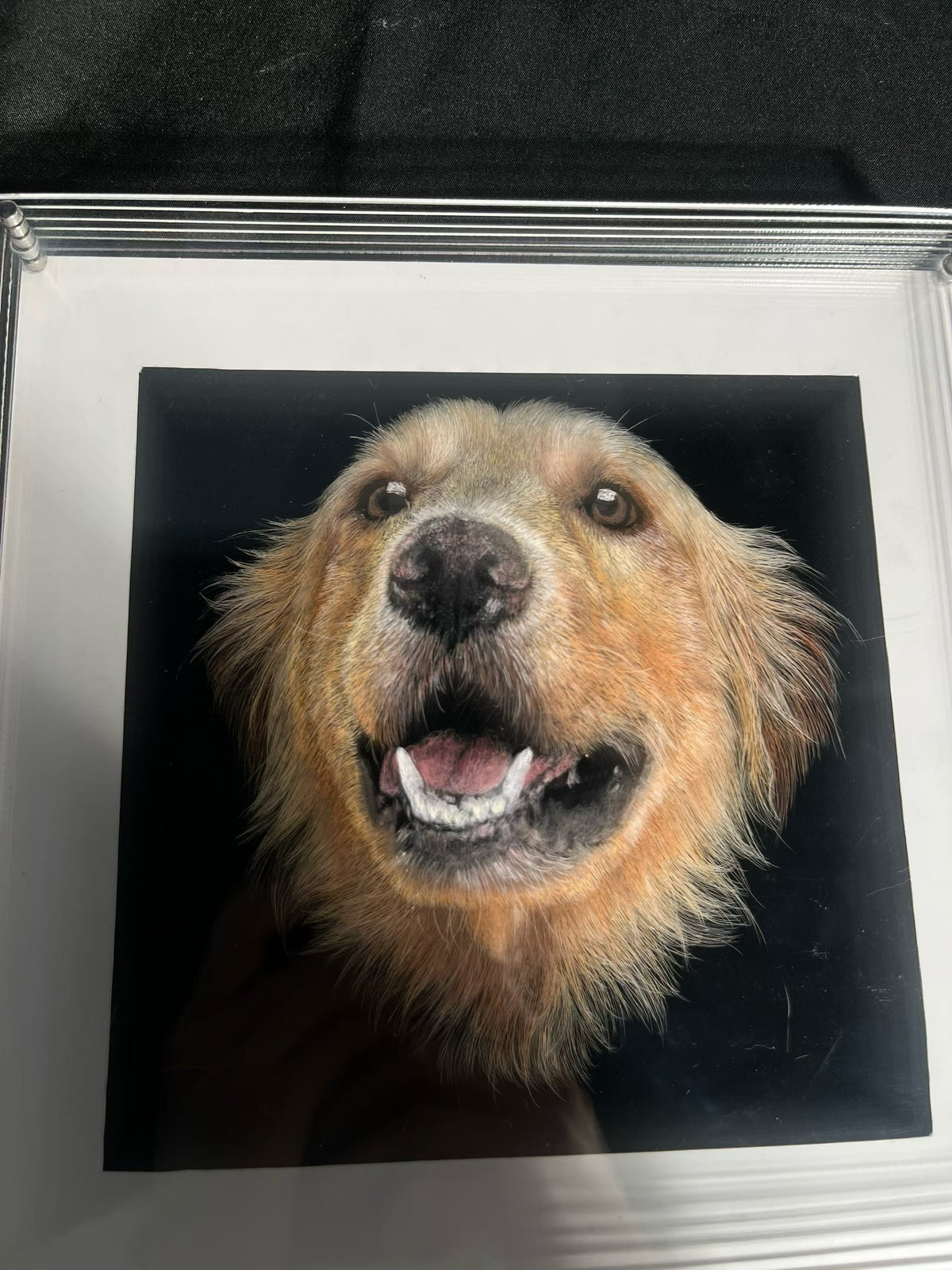 Framed scratchboard pet portrait of a golden-brown dog smiling with tongue out