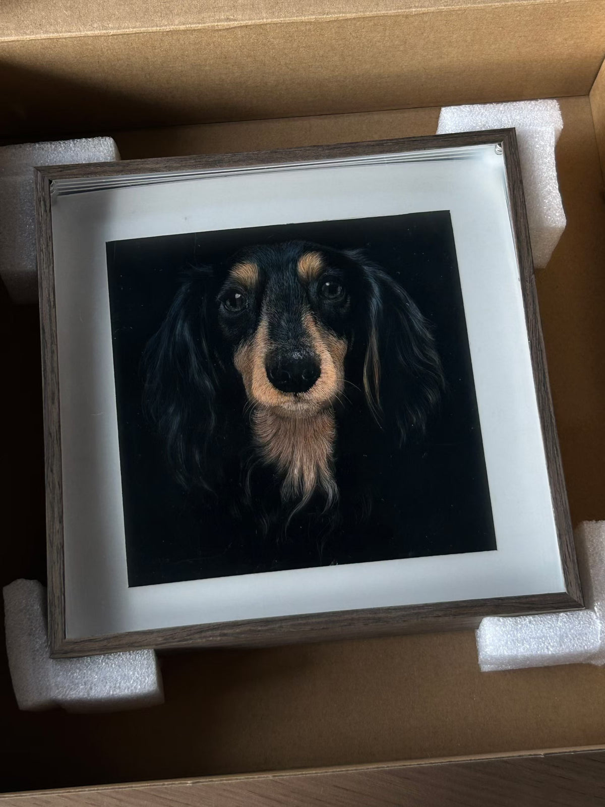 Framed scratchboard pet portrait of a black-and-tan dog with long fur
